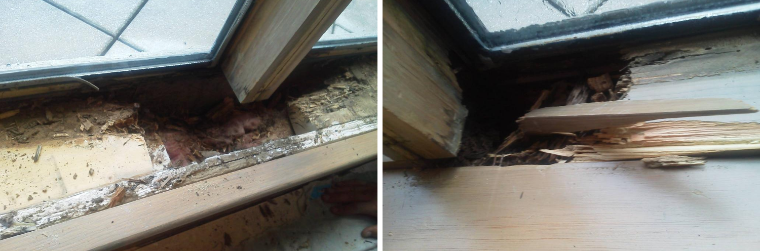 Termite damage repair inside a home