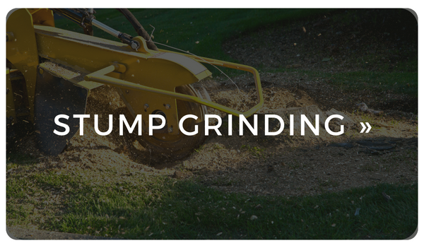 click here to view our stump grinding services