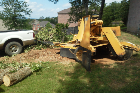 Stump Grinding  